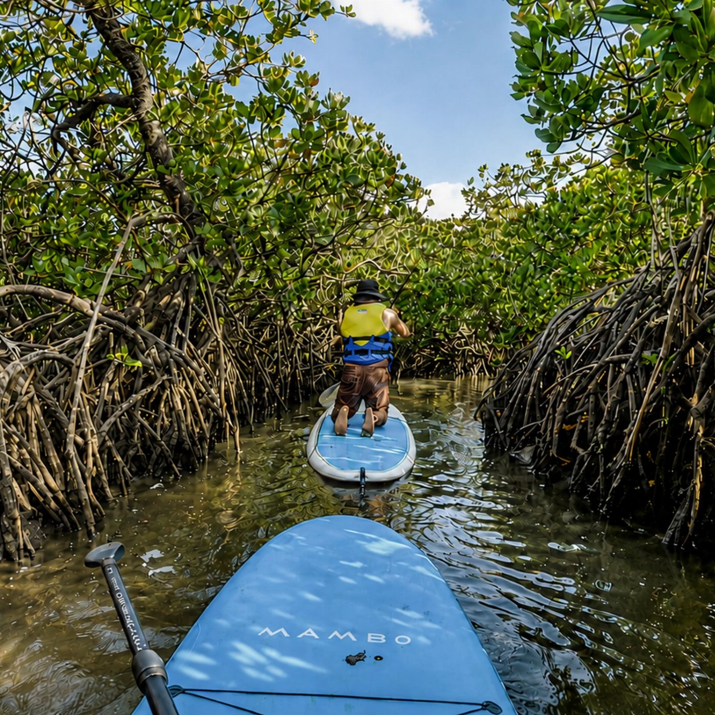 Epic Ocean Adventures Noosa Stand Up Paddle & Mangrove Tunnel Tour - (Self Guided)