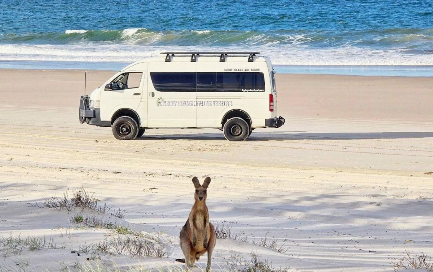 G'day Adventure Tours Bribie Island 4WD Beach & Bunker tour