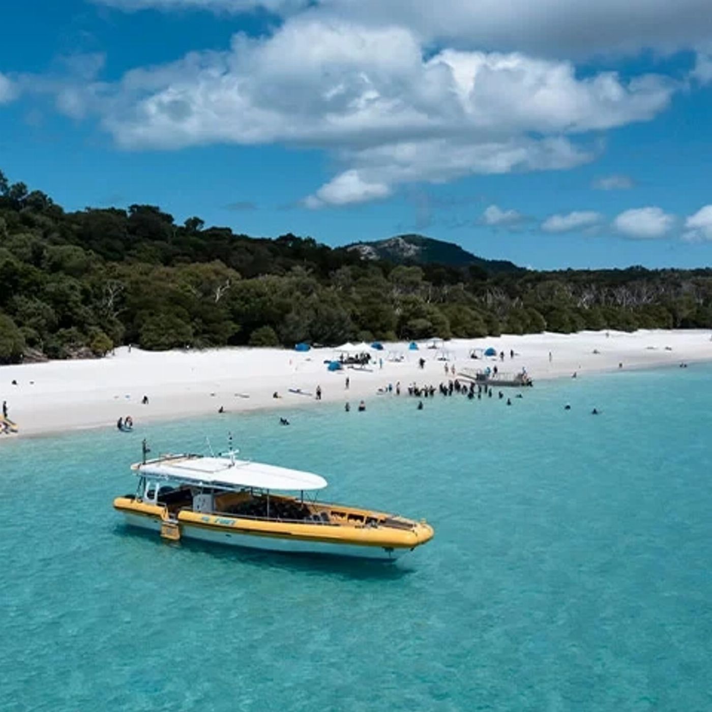Magic Whitsundays Big Fury