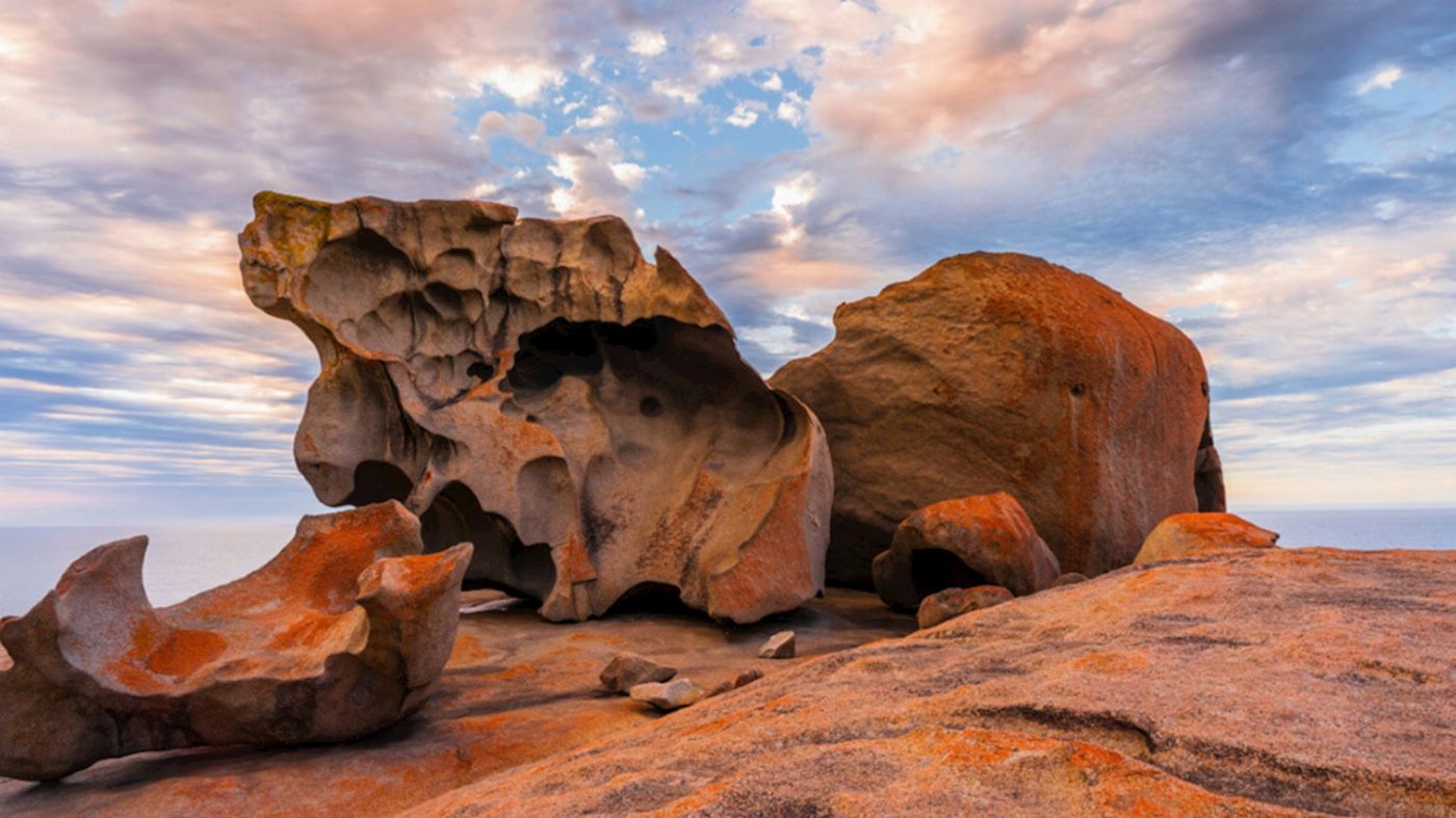 Groovy Grape Barossa Kangaroo Island 2 Day Wildlife Adventure Tour (Motel Single Traveller)