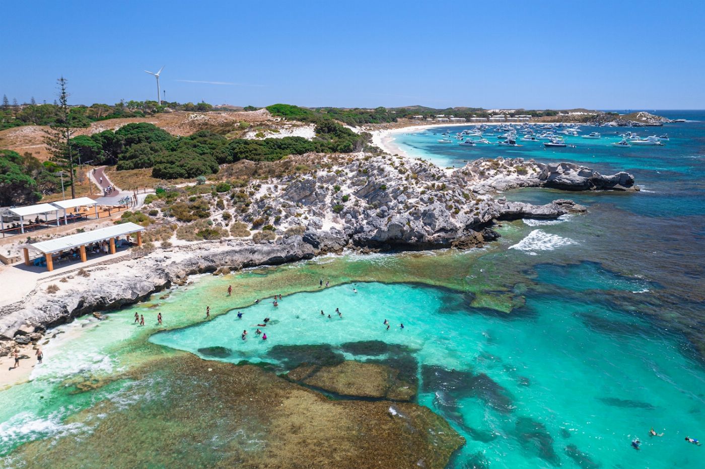 Rottnest Fast Ferries Rottnest Island Bus & Ferry Combo