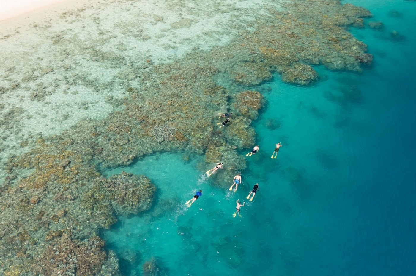 Explore Group Australia Sail & Snorkel - Whitehaven & Chalkies Beach