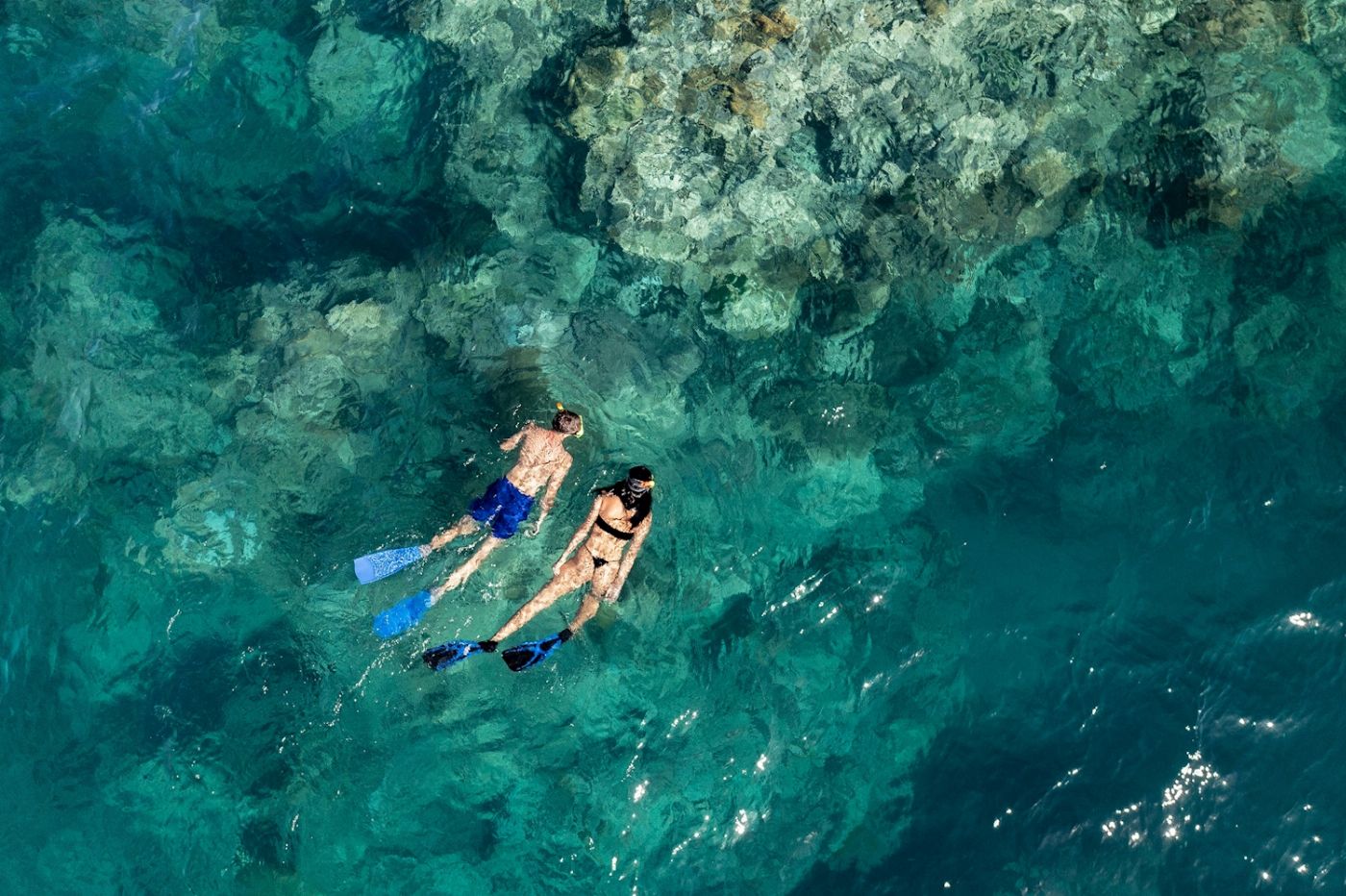 Explore Group Australia Full Day Snorkel the Great Barrier Reef - Hamilton Island