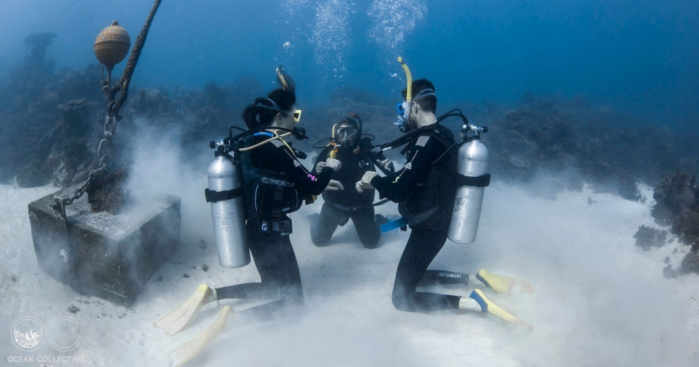 Ningaloo Reef Dive and Snorkel Open Water Dive Course