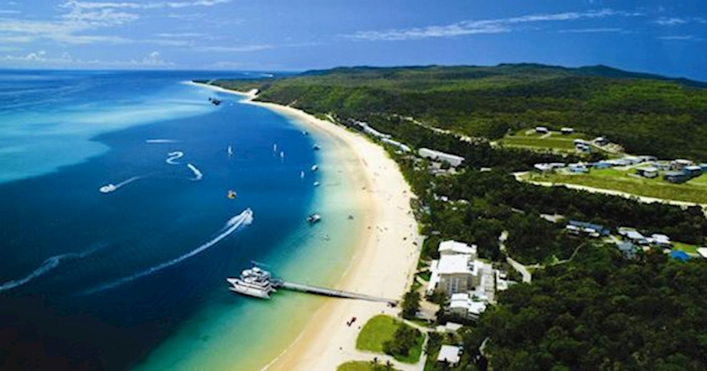 Tangalooma Island Resort One Way Bus Transfer: Holt St Wharf >Brisbane Hotels (meets 4pm and 7pm boat departures from Tangalooma)