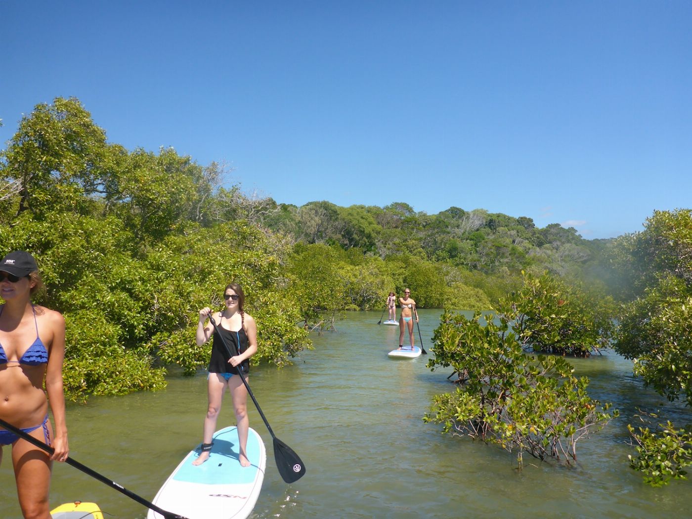Epic Ocean Adventures Turtle View SUP Tour