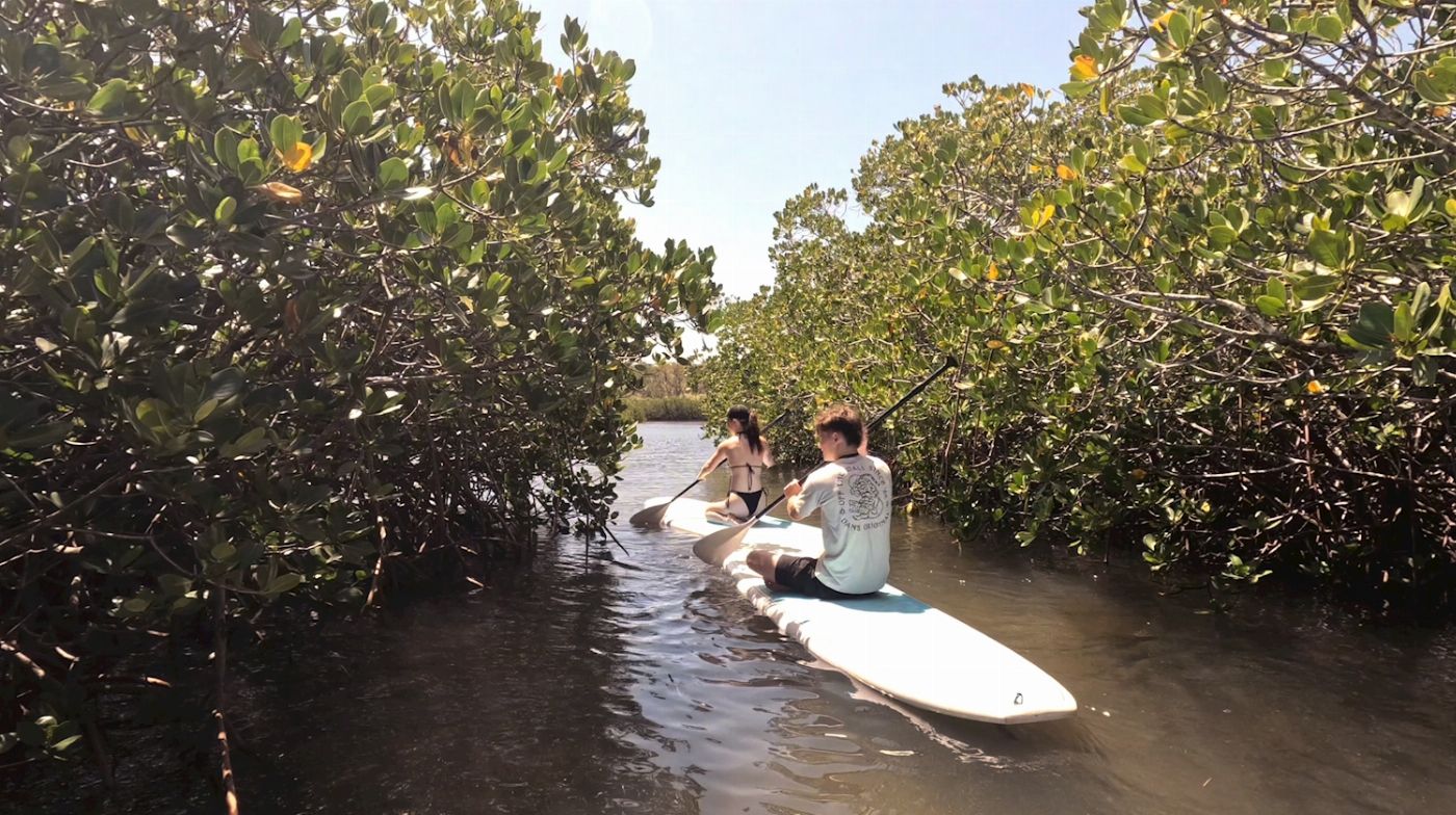 Epic Ocean Adventures Turtle View SUP Tour