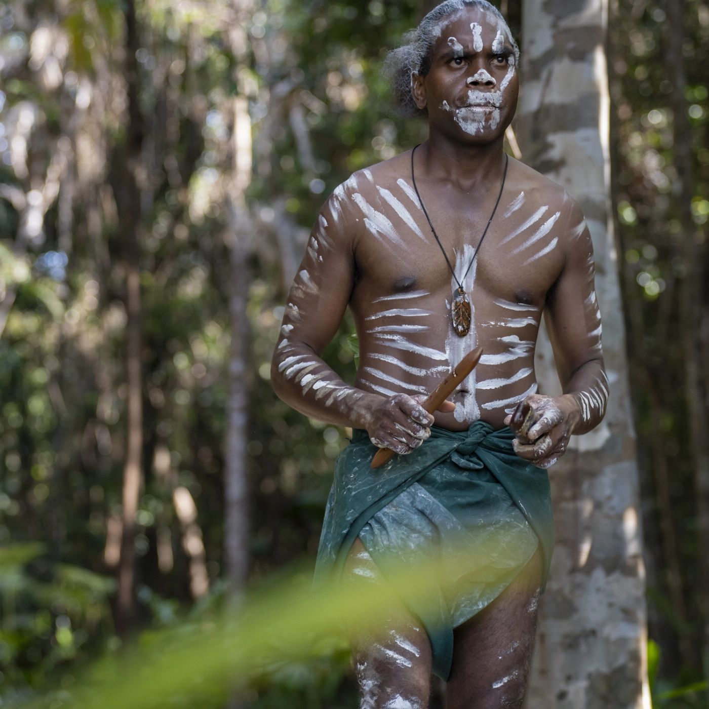 Tropic Tours Cassowary Coast Goondoi Culture Tour