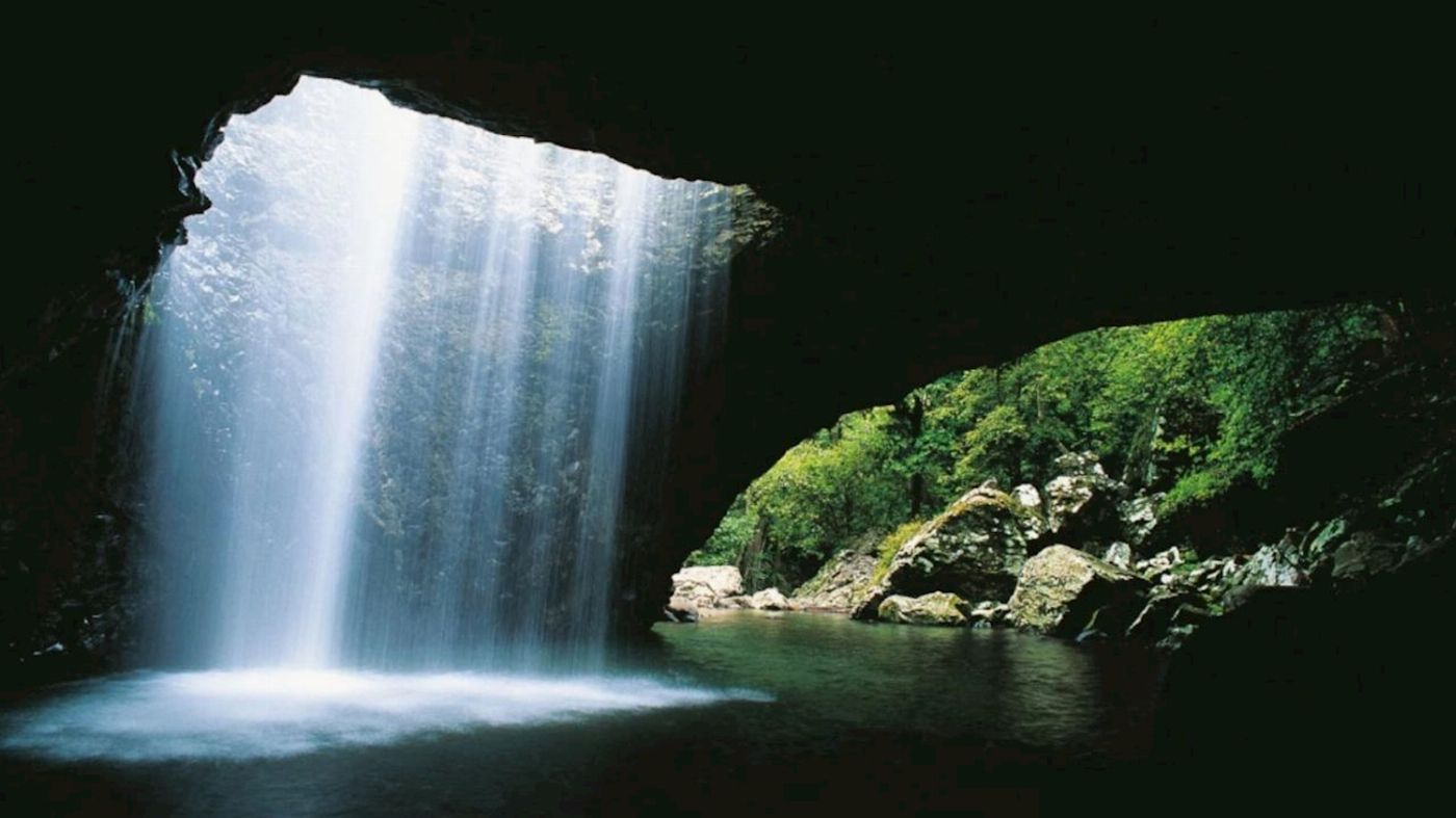 Southern Cross Tours Gold Coast Day Tour ex Brisbane