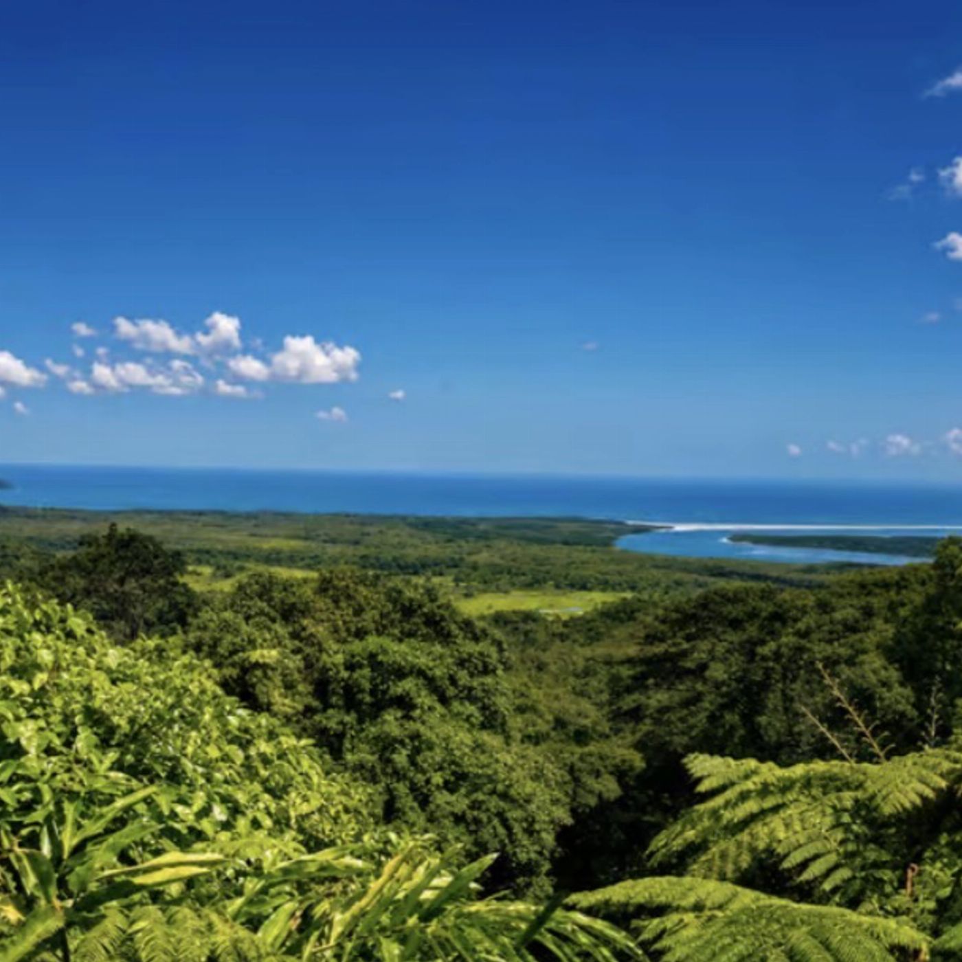 Cape Trib Connections Daintree, Cape Tribulation Beach and Mossman Gorge Day Tour With Lunch