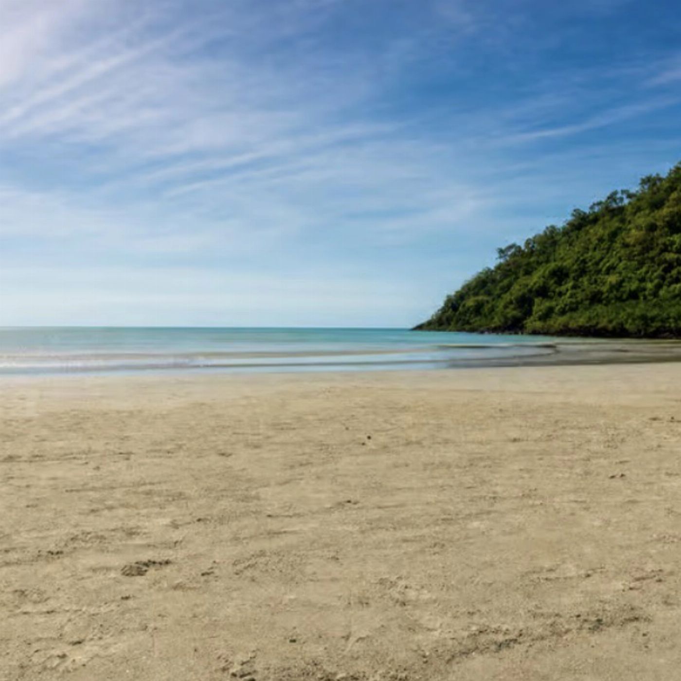 Cape Trib Connections Daintree, Cape Tribulation Beach and Mossman Gorge Day Tour With Lunch