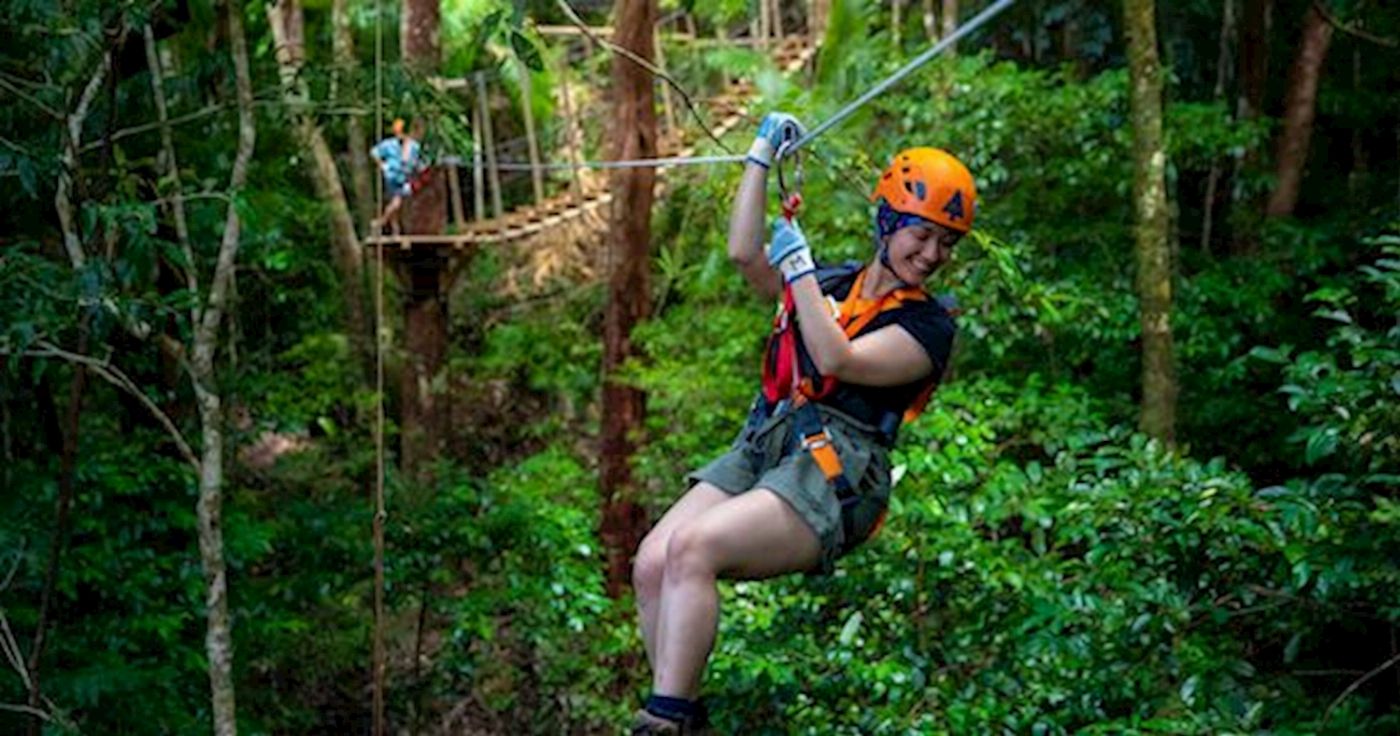 Daintree Tours Ultimate Daintree Tour With Ziplining
