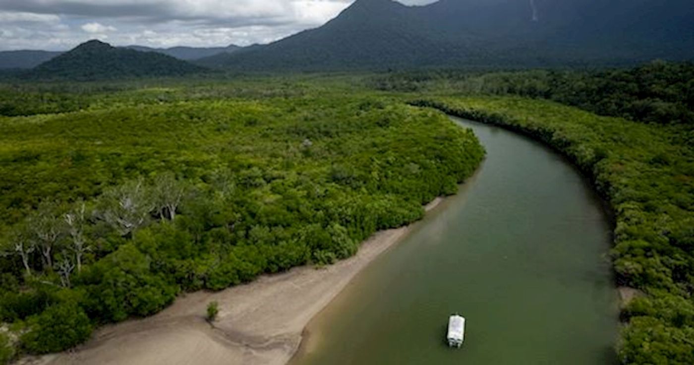 Daintree Tours Ultimate Daintree Tour With Ziplining