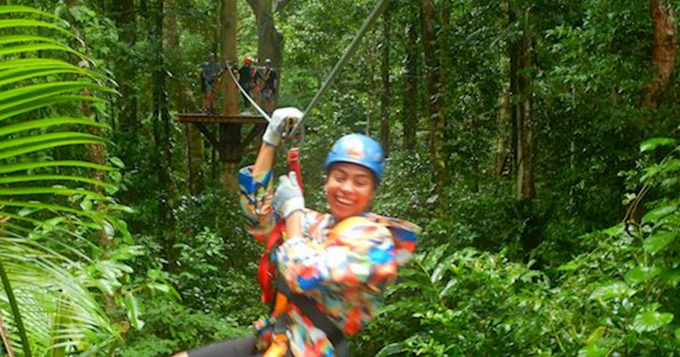 Daintree Tours Ultimate Daintree Tour With Ziplining