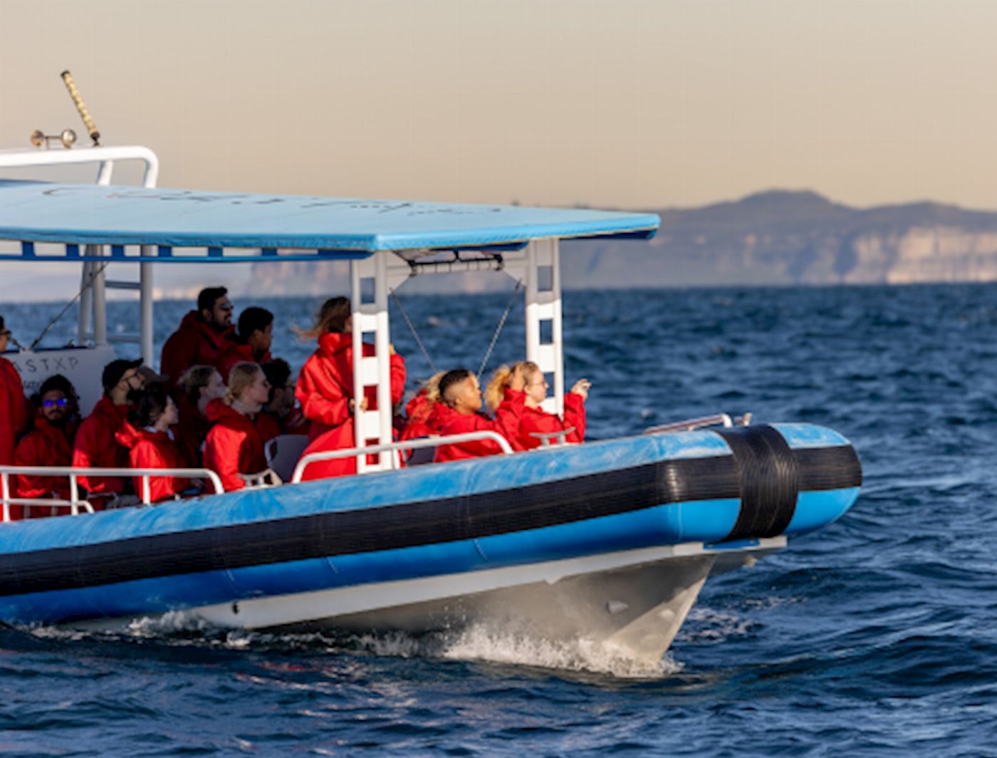 COASTXP Whale Encounter Tour