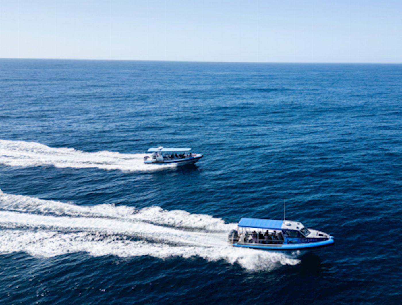 COASTXP Whale Encounter Tour