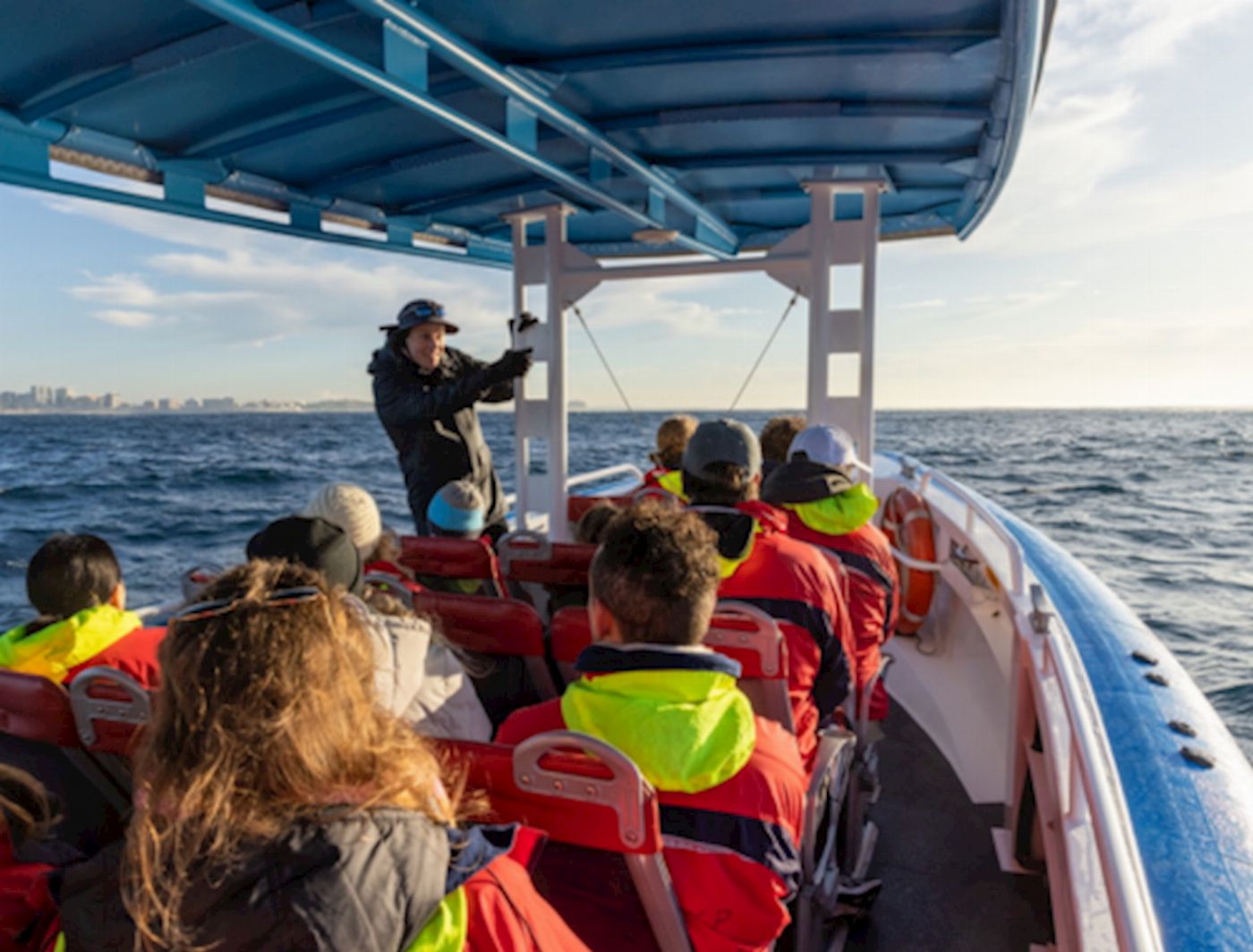 COASTXP Whale Encounter Tour