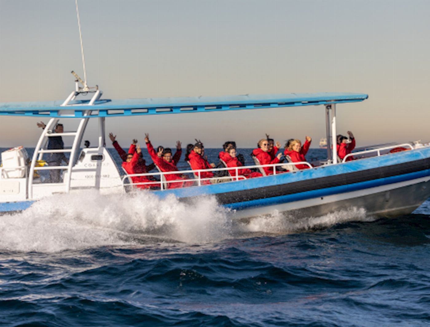 COASTXP Whale Encounter Tour