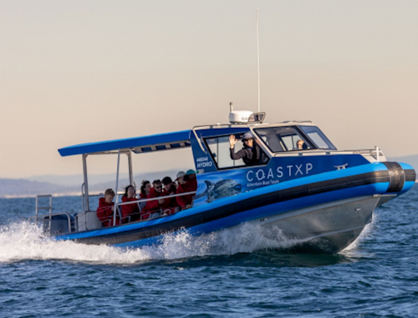 COASTXP Whale Discovery Tour
