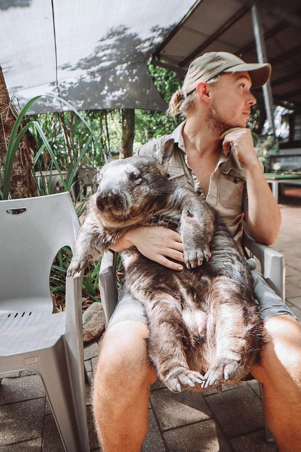 Bounce Breakfast with Koalas