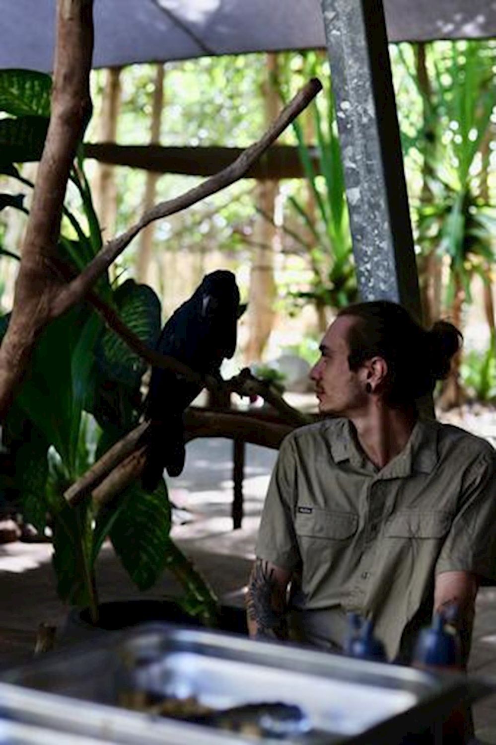 Bounce Wildlife Park Tours