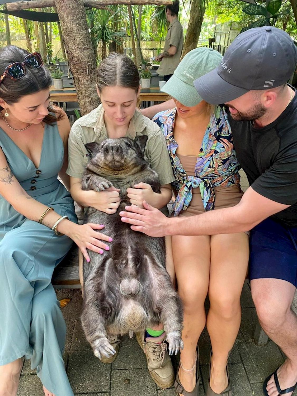 Bounce Wildlife Park Tours