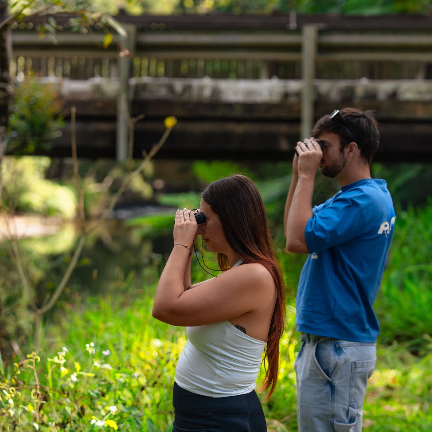 Airlie Adventure Tours Eungella Wild Platypus Encounter Full Day Eco Tour