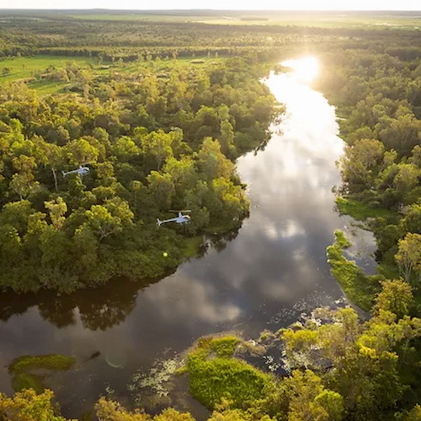 Heli Tours Darwin Wild Territory Pub Crawl