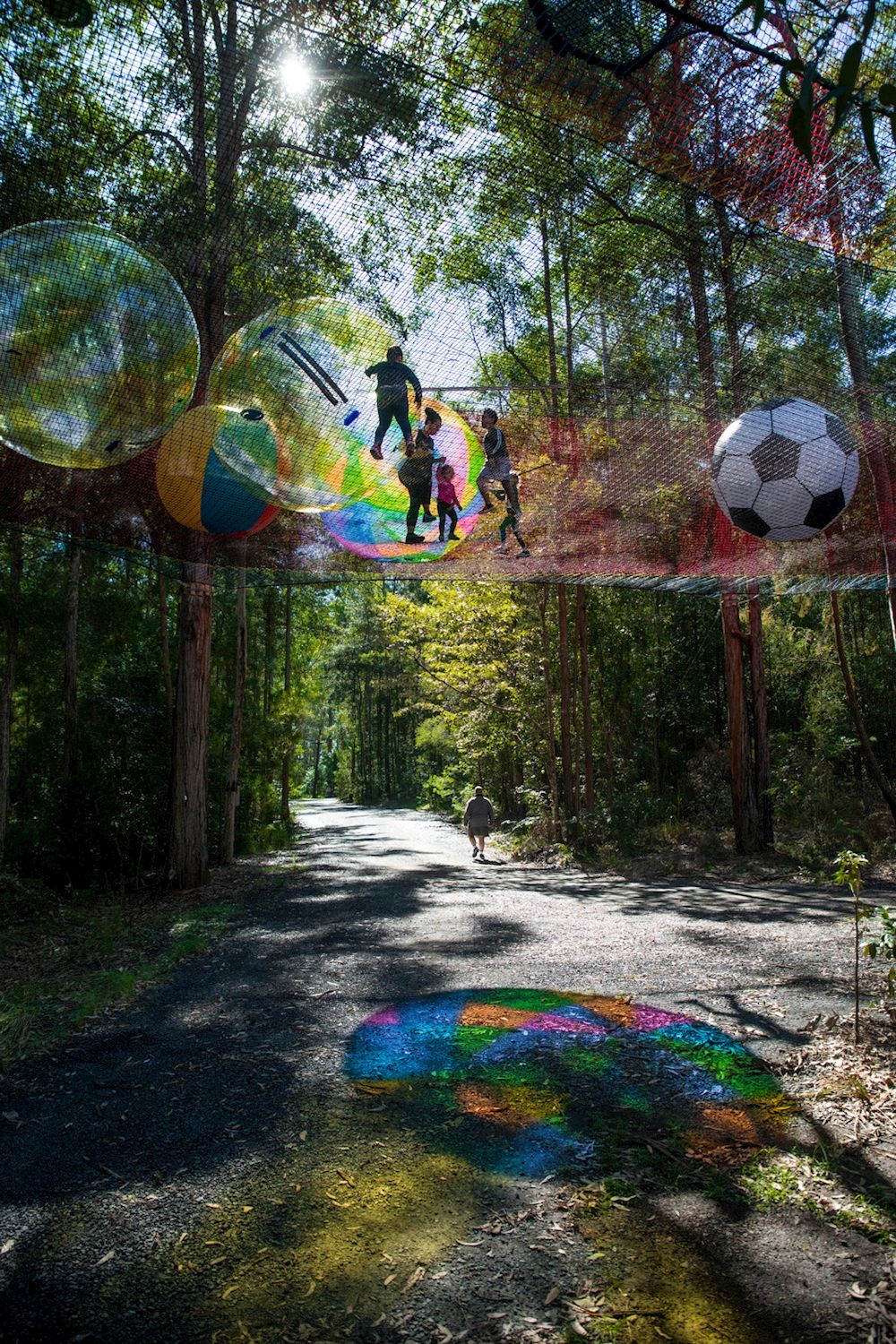 Treetops Adventure Central Coast NetWorld