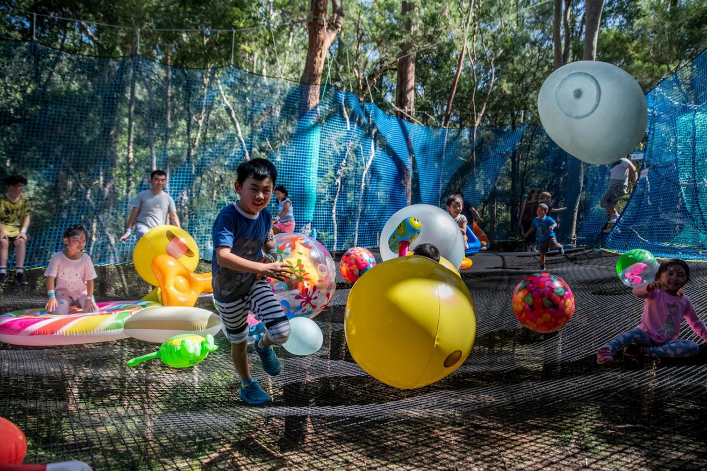 Treetops Adventure Central Coast NetWorld