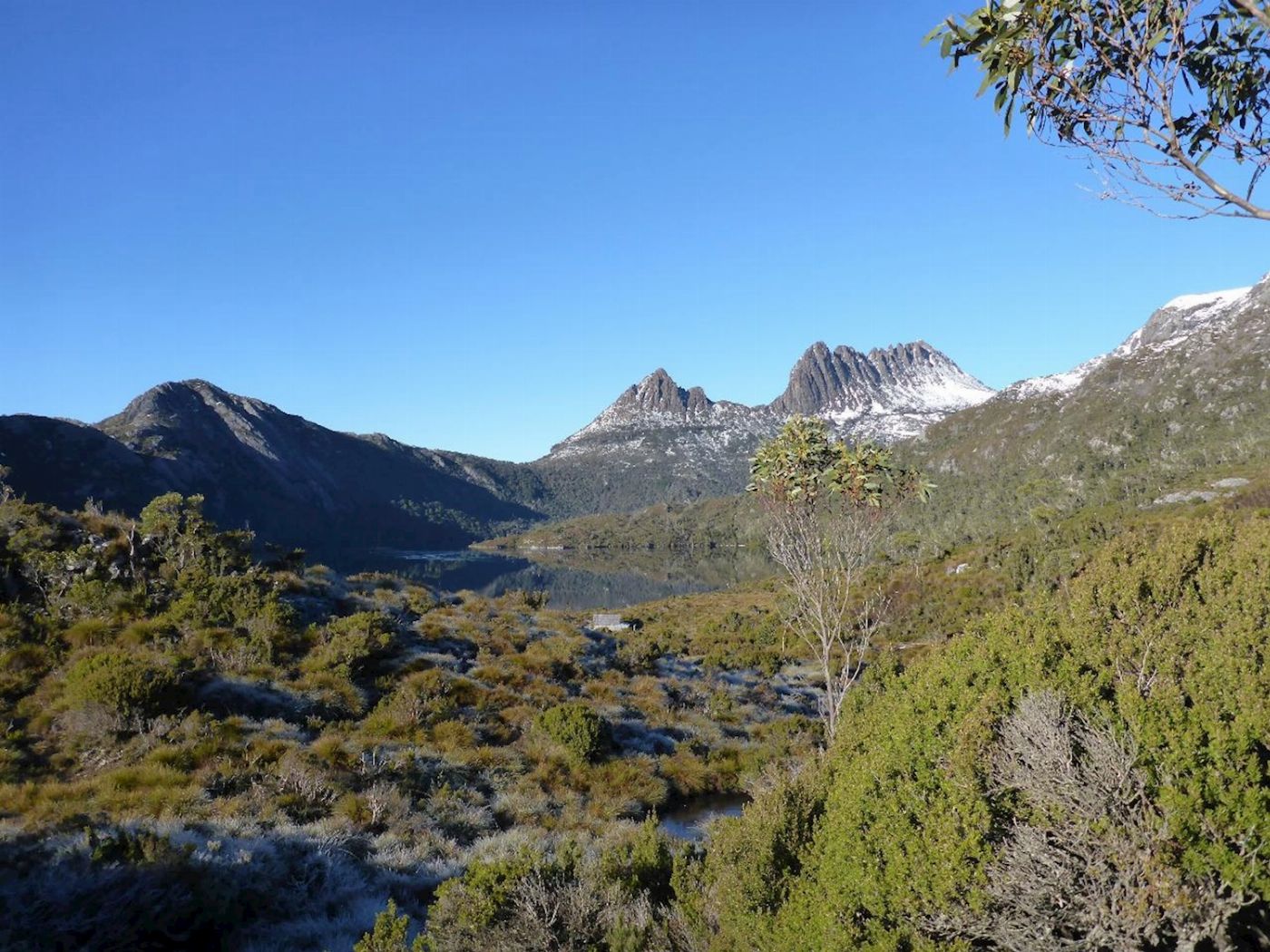 Tassie Tours Hobart to Cradle to Launceston