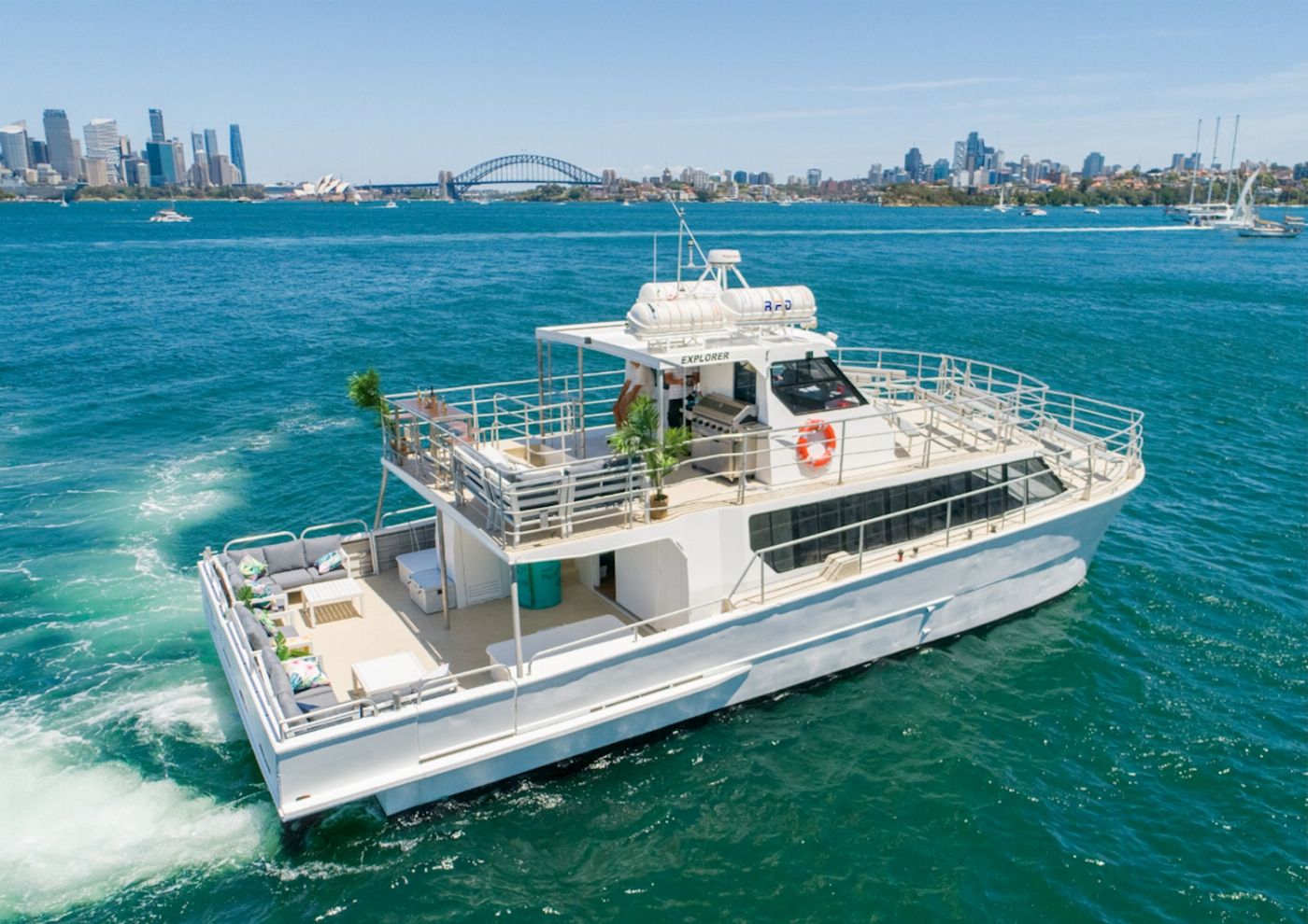 Sydney Harbour Whale Watching Sydney Whale Watching Adventure Cruise