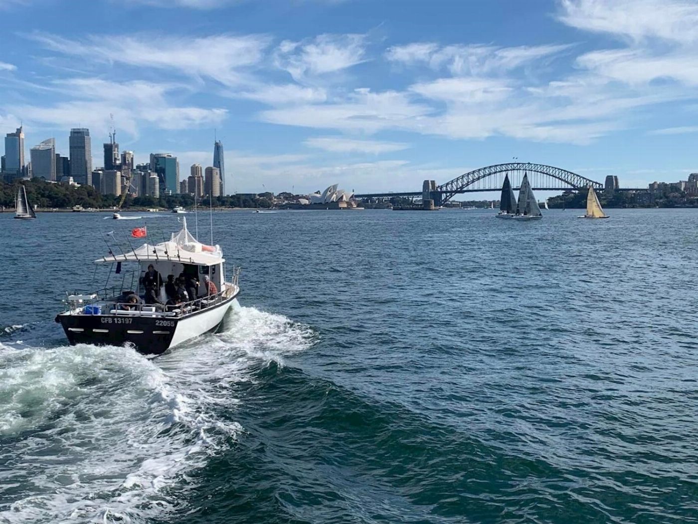 Sydney Charter Fishing 3 hour Depart Manly Wharf Exclusive Whale Watching Adventure
