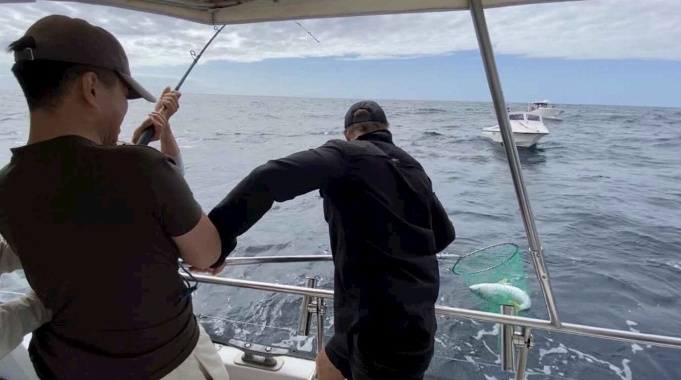 Sydney Charter Fishing Reef Fishing Trip - OFFSHORE - Extended Charter