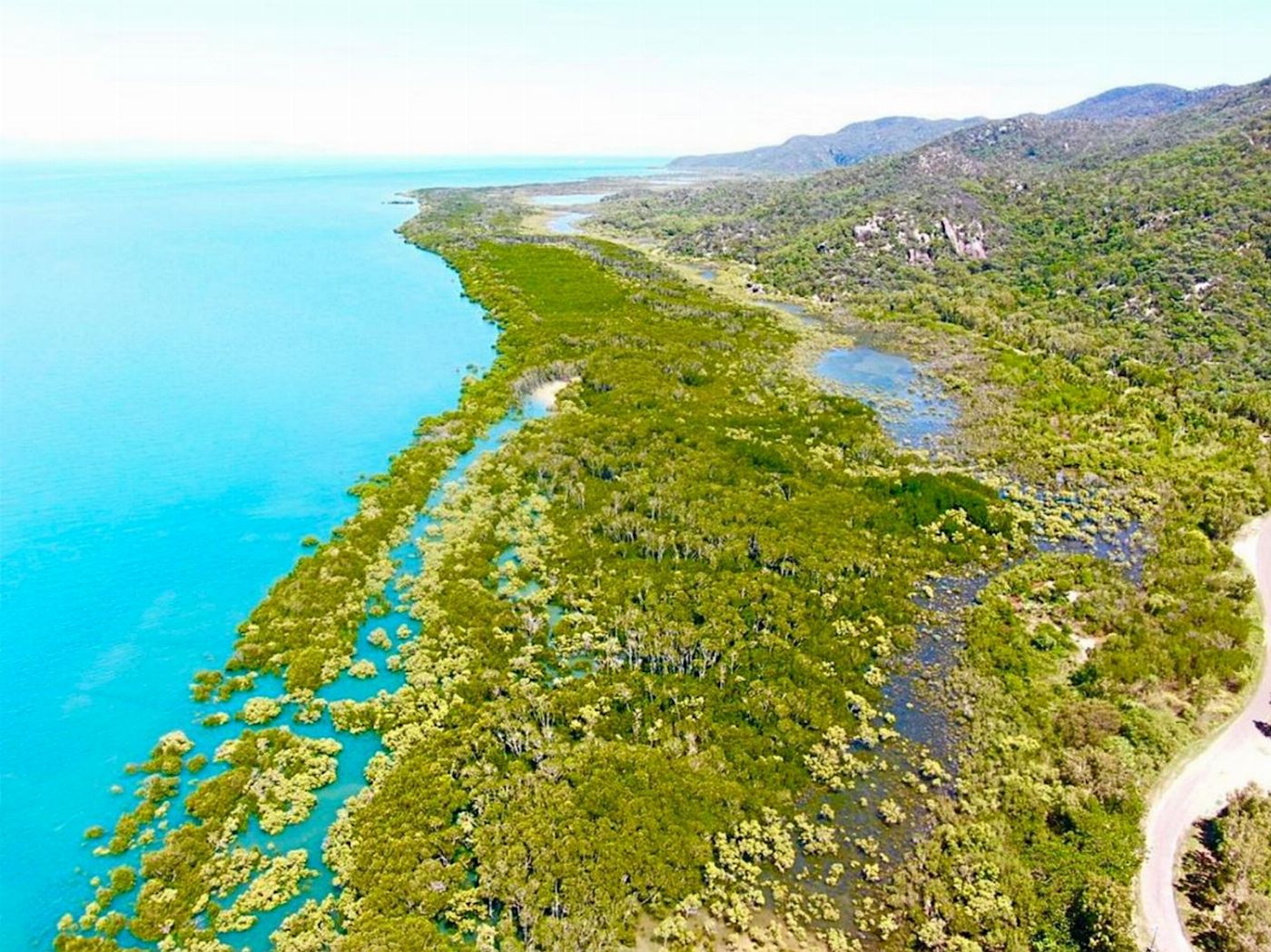 MI Ride Discovery Tours Magnetic Island: West Coast Eco Bus Adventure