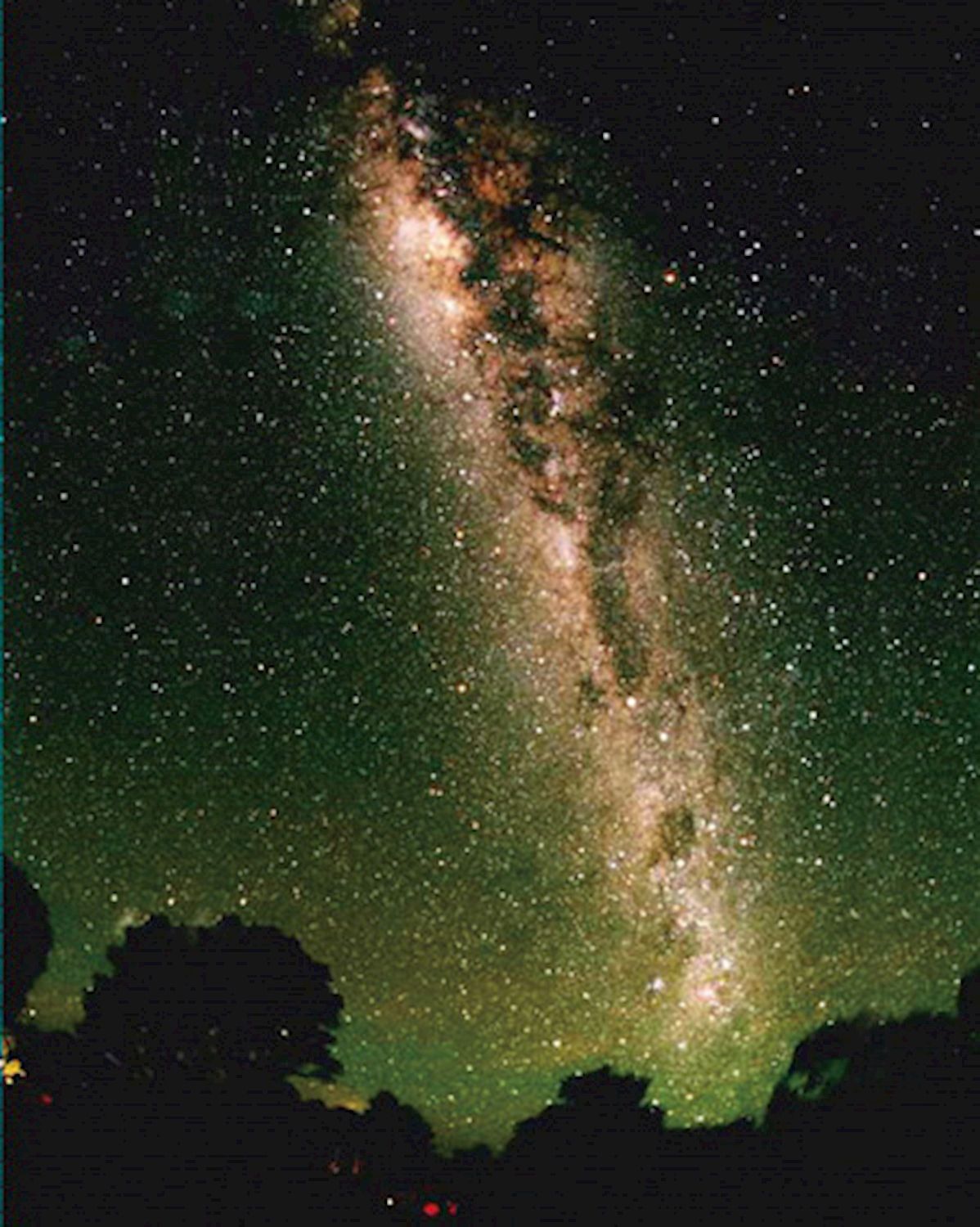 JPT Tours Natural Bridge Glow Worm Night Tour departing Gold Coast
