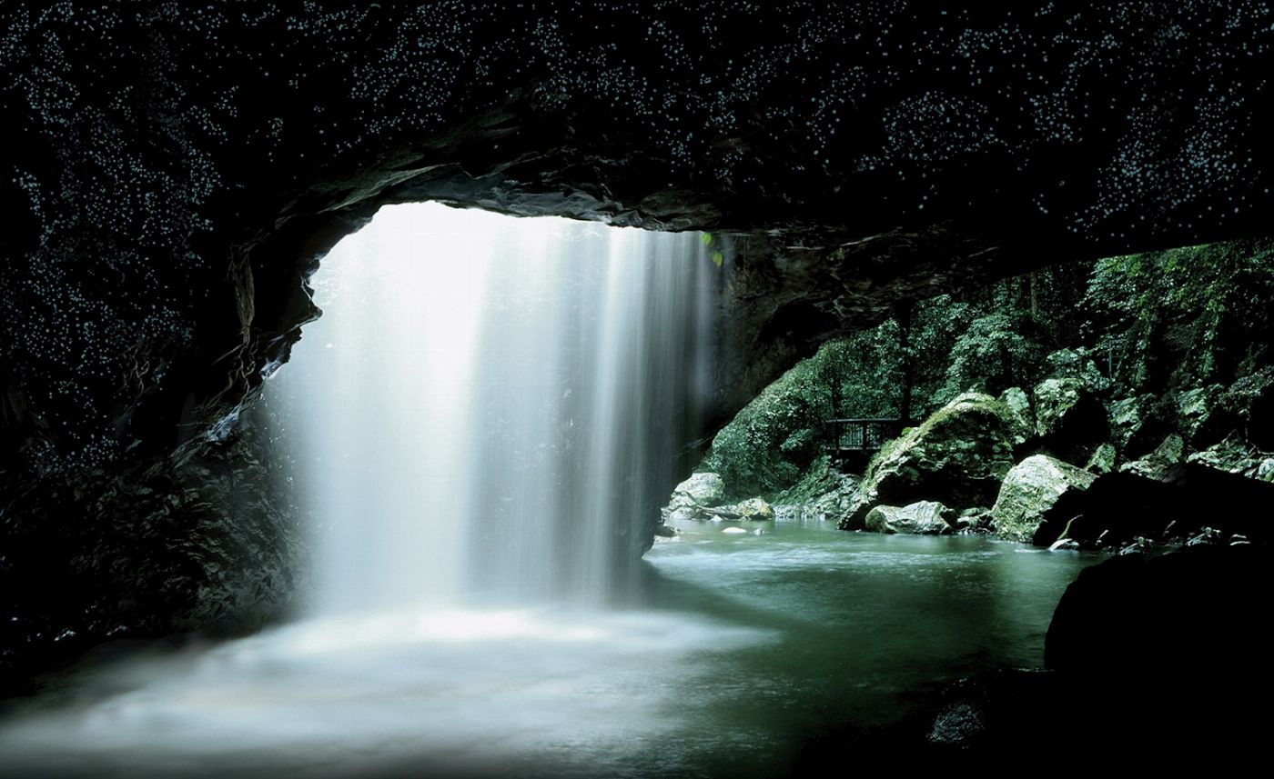 JPT Tours Natural Bridge Glow Worm Night Tour departing Gold Coast