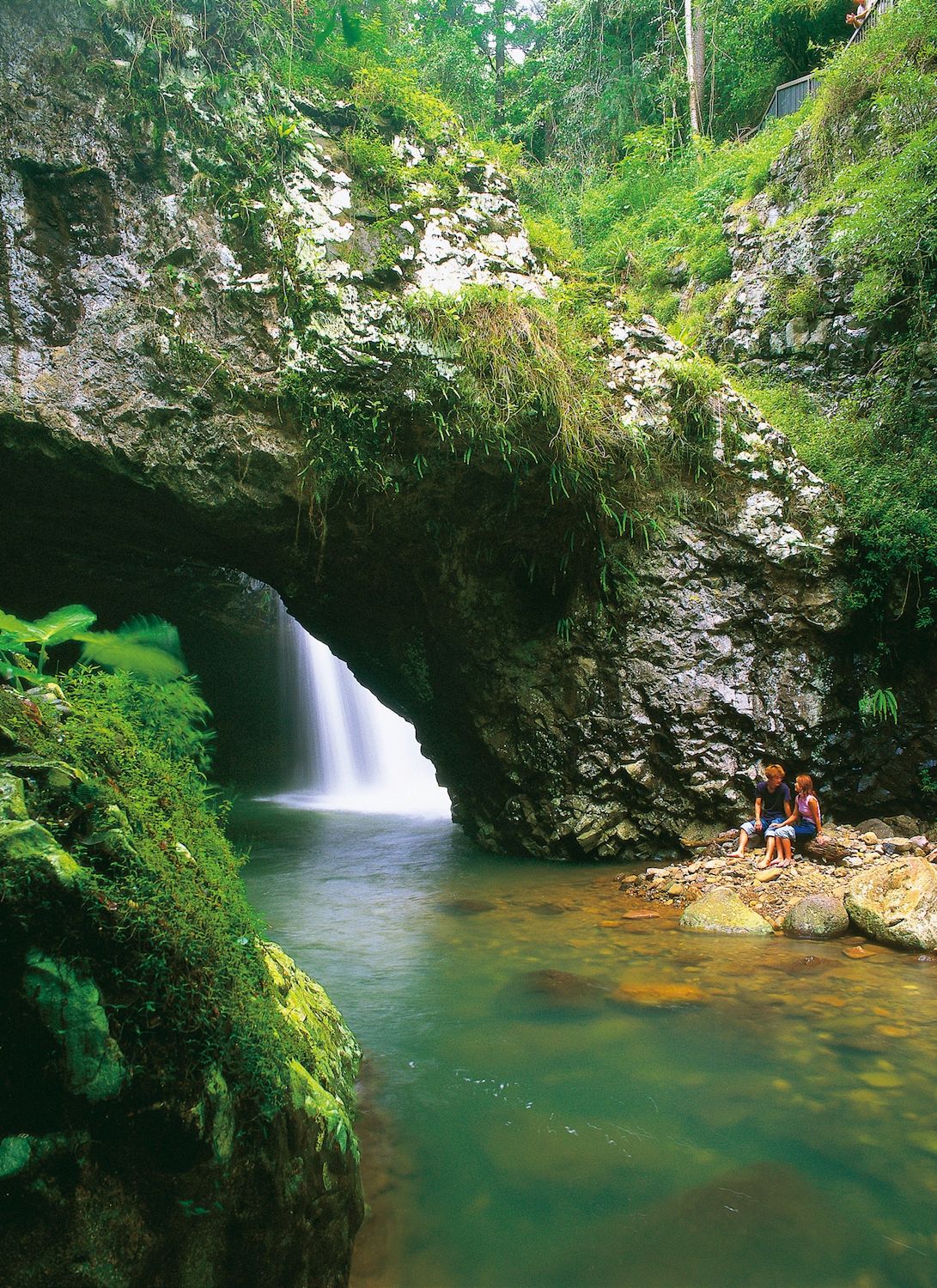 JPT Tours Natural Bridge Glow Worm Night Tour departing Gold Coast
