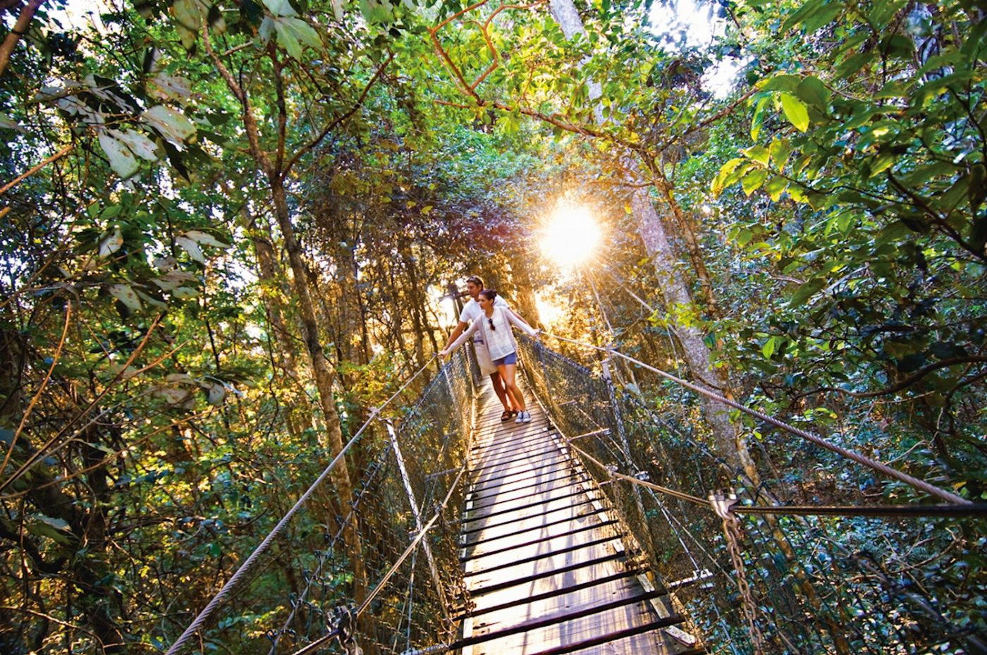 JPT Tours O'Reilly's & Lamington National Park departing Gold Coast