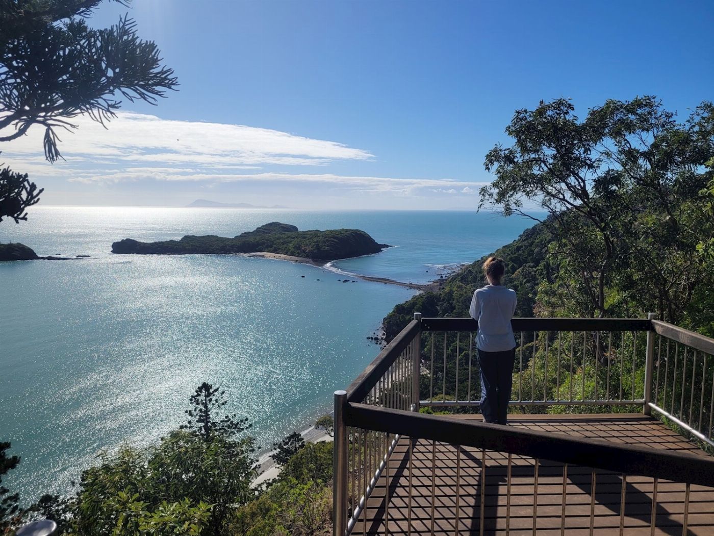 Airlie Adventure Tours Kangaroos & Wallabies on the Beach at Sunrise