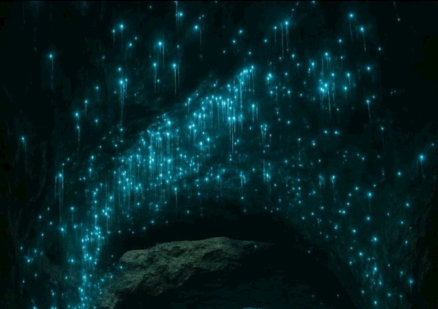 Aussie Explorations Stargazing + Glow Worms + Dinner + Transportation