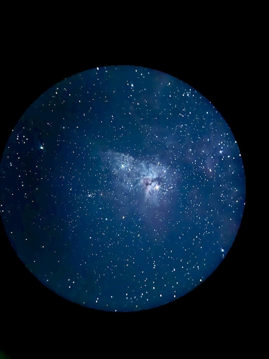 Aussie Explorations Stargazing at Tamborine Mountain