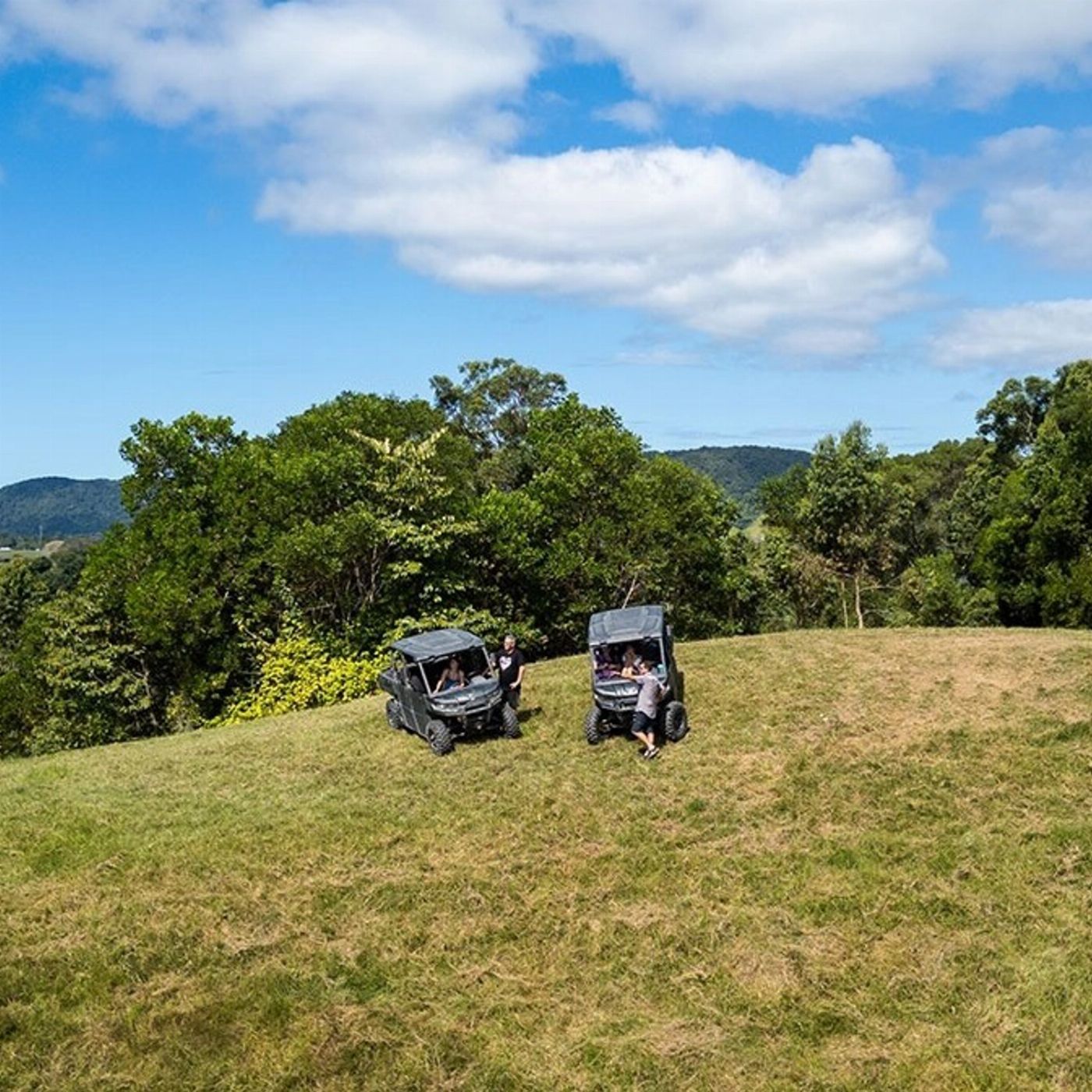 Cassowary Falls Gateway Daintree Waters Tour