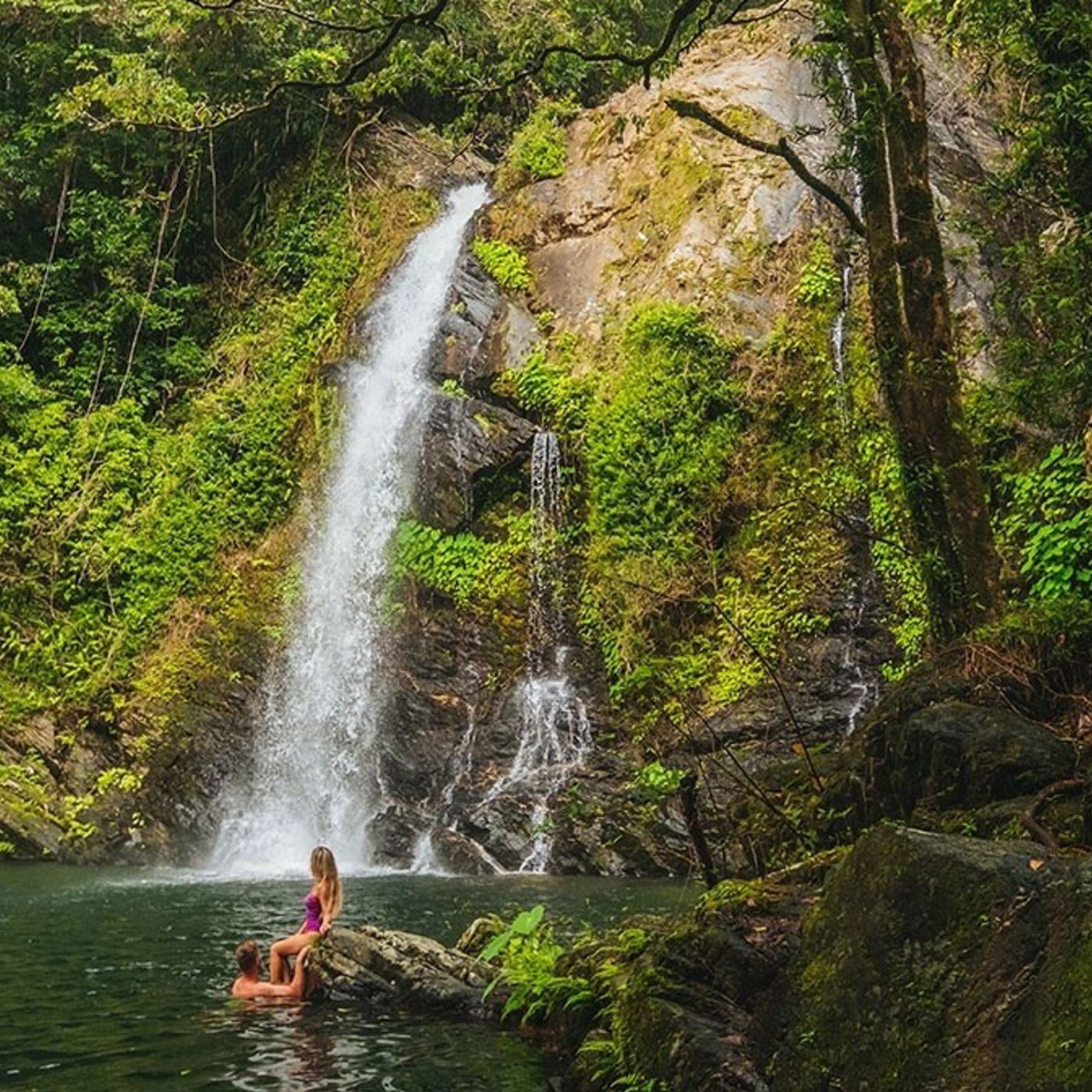 Cassowary Falls Gateway Daintree Waters Tour