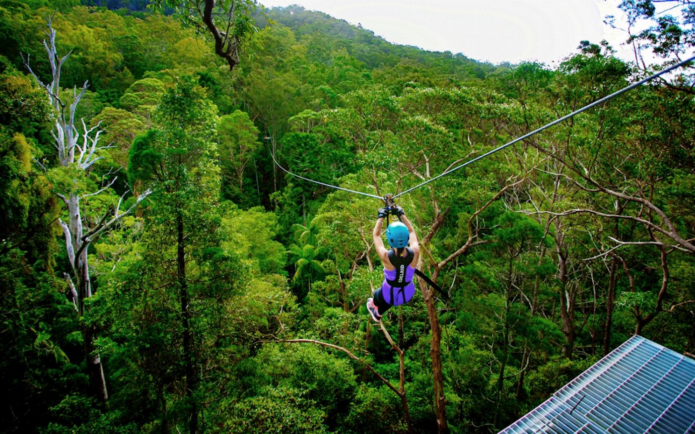 TreeTop Challenge - Tamborine - Adrenaline Pass