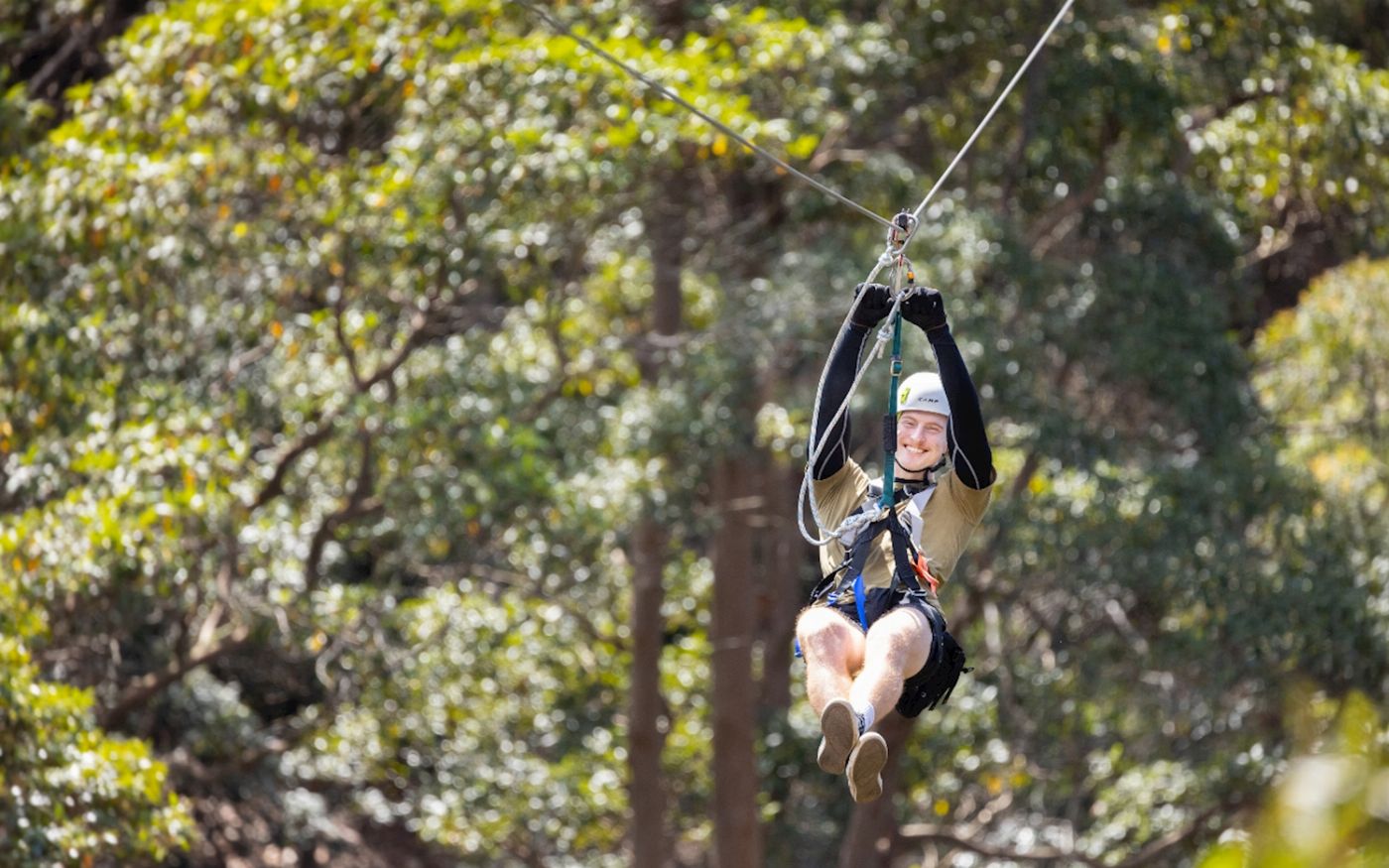 TreeTop Challenge - Tamborine - Adrenaline Pass