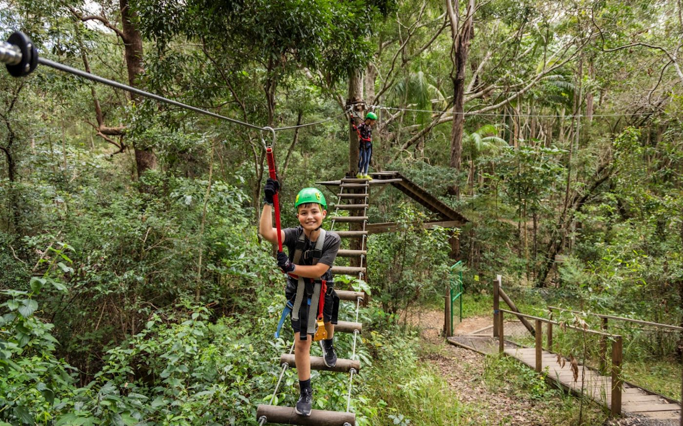 TreeTop Challenge - Tamborine - Adrenaline Pass