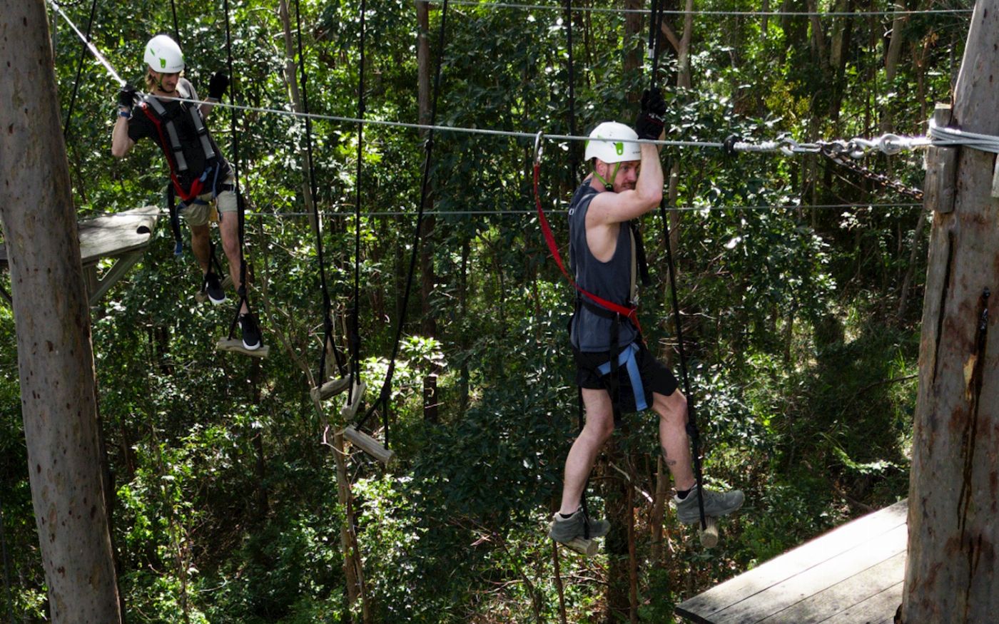 TreeTop Challenge - Tamborine - Adrenaline Pass