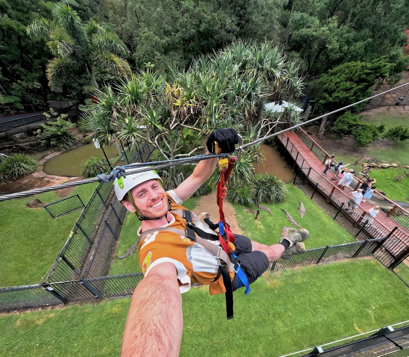TreeTop Challenge Experience Pass Currumbin Wildlife Sanctuary + High Ropes Adventure