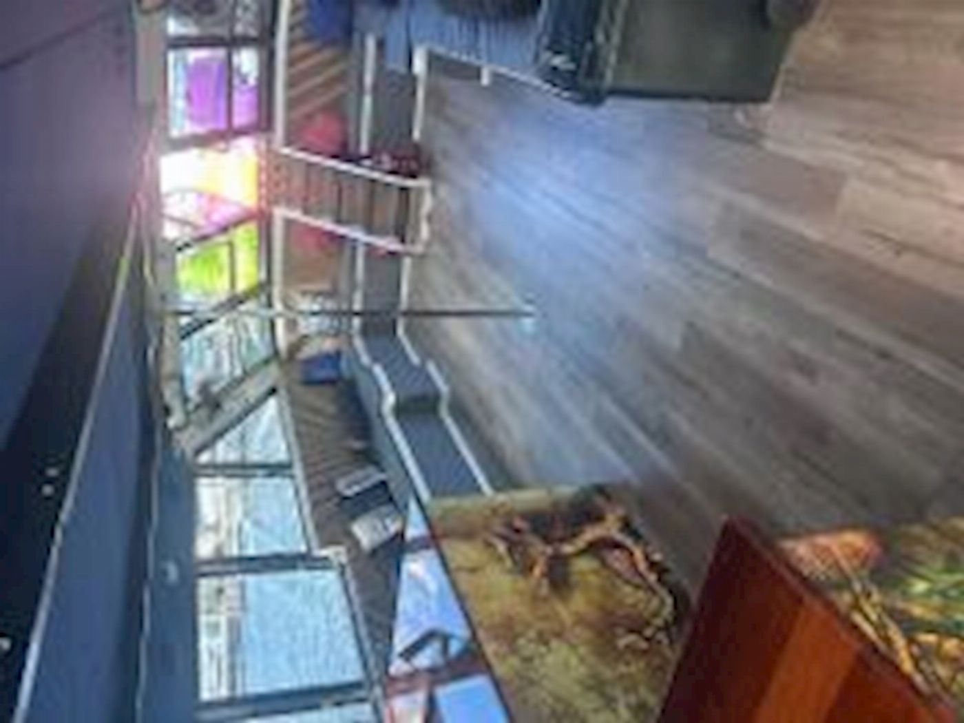 Cairns Party Boats Friday Sunset Sessions Cruise + Pub Crawl DEAL